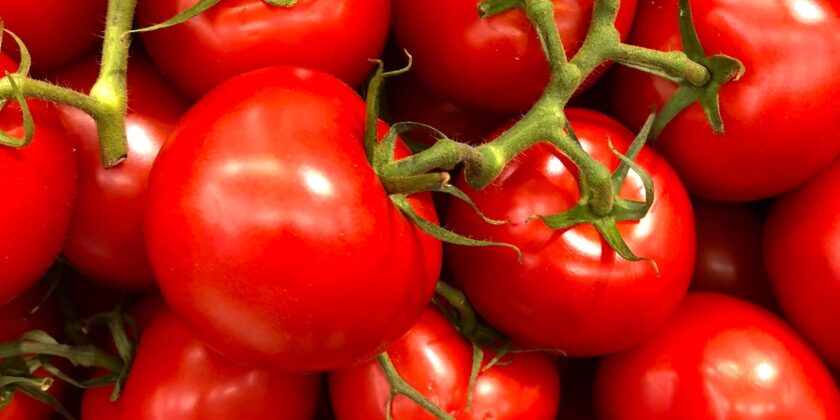 L'insalata delle nonne siciliane è la più buona e fresca dell'estate