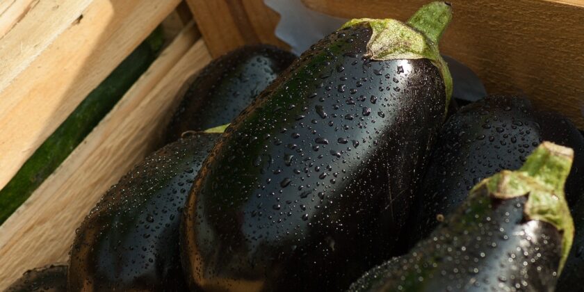 Melanzane-Foto da pixabay.com