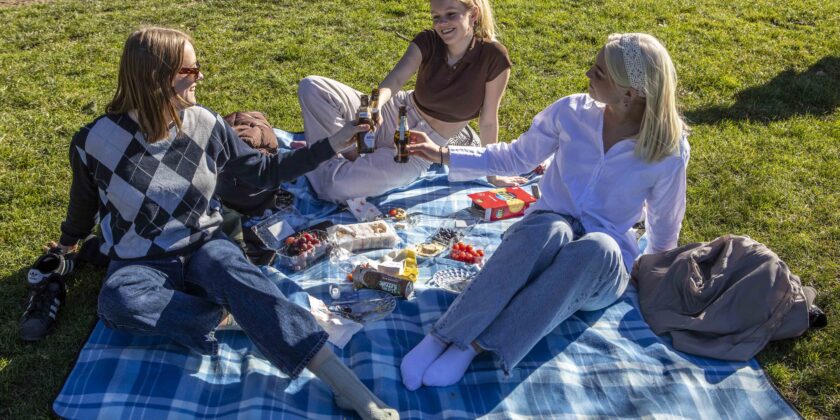 Picnic-Foto da imagoeconomica