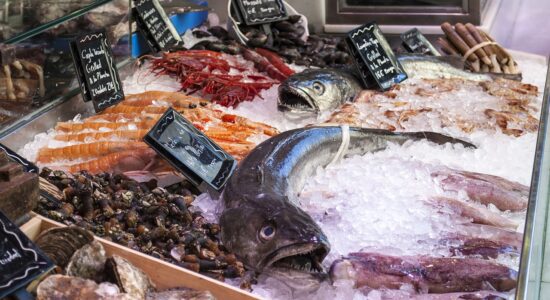 Pochi mangiano e conoscono questo pesce-proiezionidiborsa.it