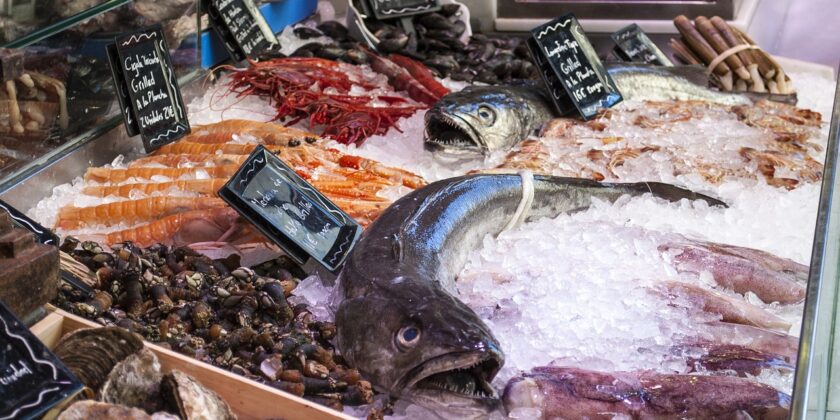 Pochi mangiano e conoscono questo pesce-proiezionidiborsa.it