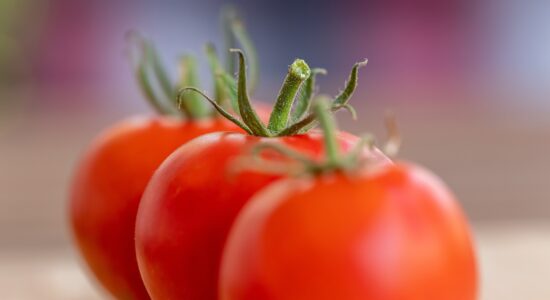 Pomodori-Foto da pixabay.com