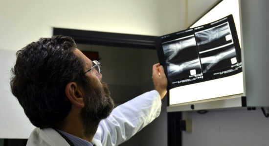 Radiografia-Foto da imagoeconomica