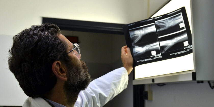 Radiografia-Foto da imagoeconomica