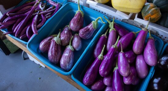 Sfiziose ricette con le melanzane