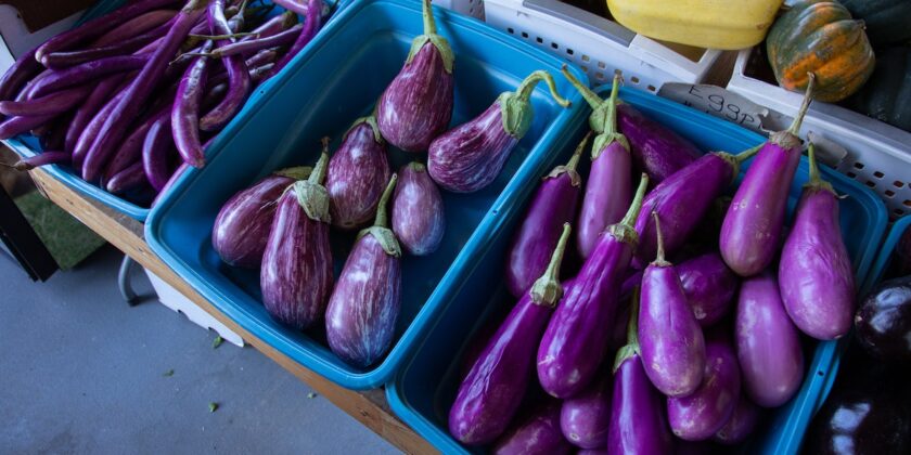 Sfiziose ricette con le melanzane