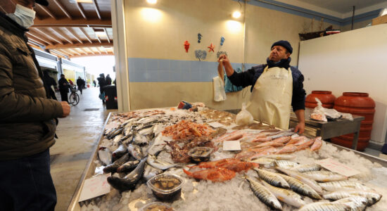 Un pesce che costa meno dello sgombro-proiezionidiborsa.it