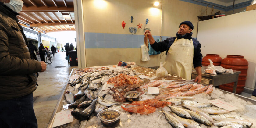 Un pesce che costa meno dello sgombro-proiezionidiborsa.it
