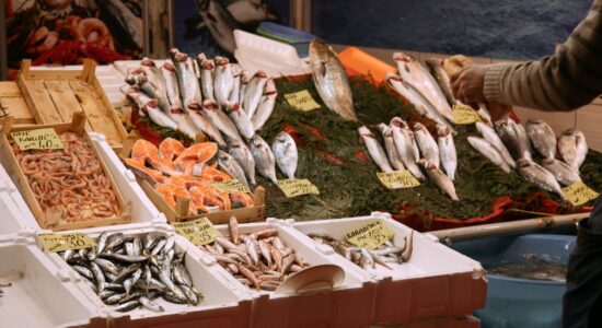 Un pesce dei nostri mari economico