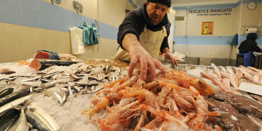 Bancone del pescato-Foto da imagoeconomica