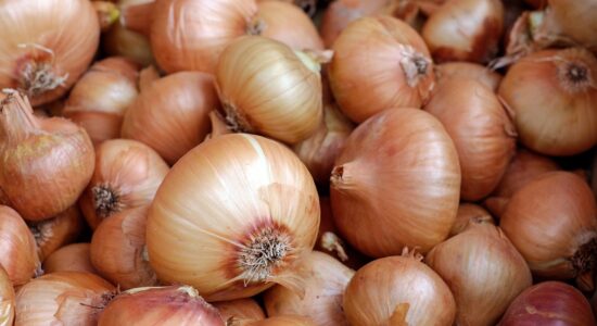 Cipolle-Foto da pixabay.com