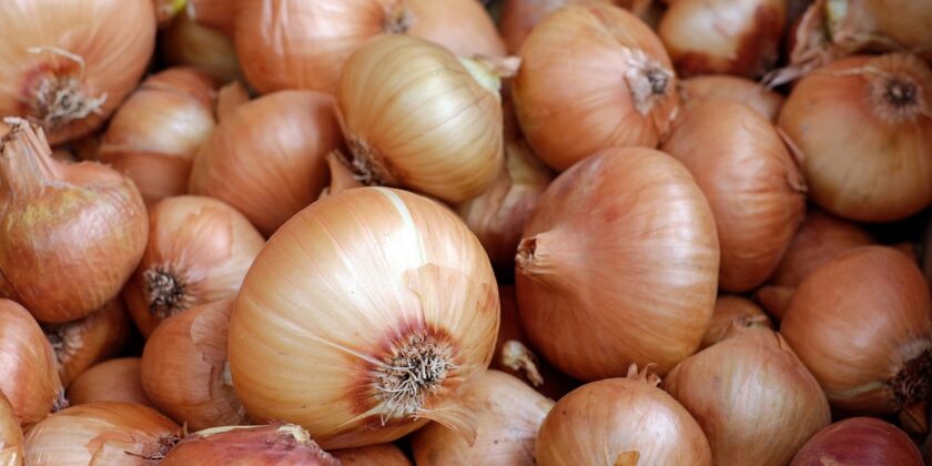 Cipolle-Foto da pixabay.com
