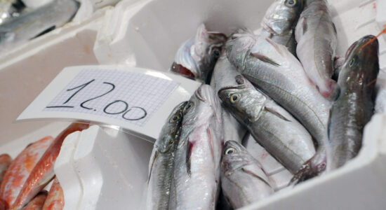 Cucinare il pesce con pochi soldi-Foto da imagoeconomica