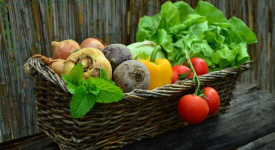 La tendenza Meal Prep-Foto da pixabay.com