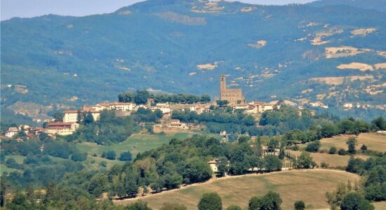 Panoramica di Poppi-Autore Albarubescens-Foto da wikipedia