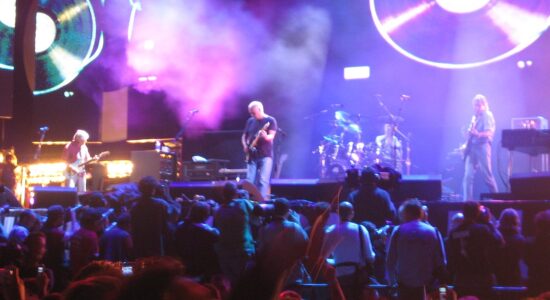 Pink Floyd-Autore Dave Bushe-Foto da wikipedia