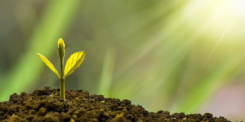 Rendimento dei BTP-Foto da pixabay.com