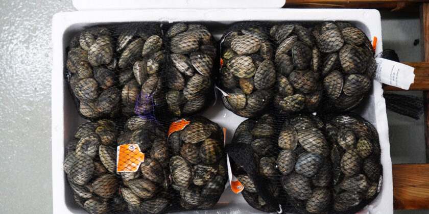 Vongole-Foto da imagoeconomica