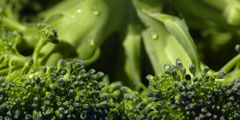 2 ricette sfiziose con i broccoli-Foto da pixabay.com