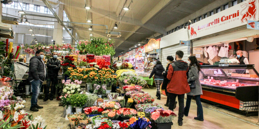 3 piante che portano soldi, salute e fortuna-Foto da imagoeconomica