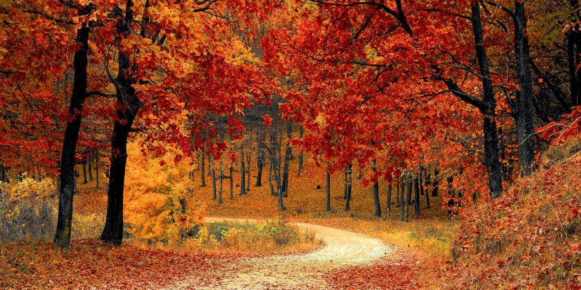 5 posti economici dove vedere il foliage-Foto da pixabay.com