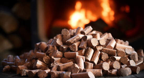 Come conservare il pellet acquistato-Foto da imagoeconomica