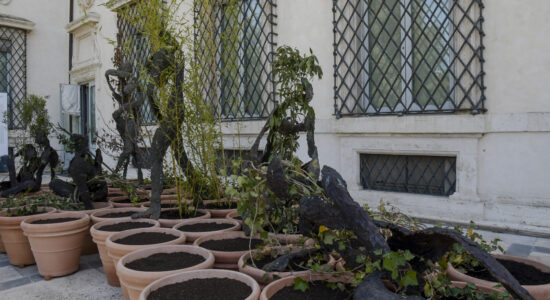 Come preparare il giardino per l'inverno-Foto da imagoeconomica