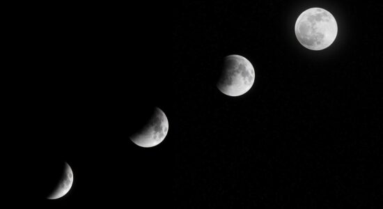 Cosa è il Trading Moon-Foto da pixabay.com
