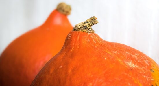 Cucinare la zucca e risparmiare-Foto da pixabay.com