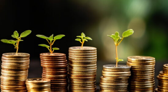 ETF che potrebbero dare un buon rendimento-Foto da imagoeconomica