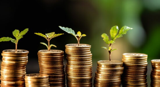 ETF con un ottimo rendimento-Foto da imagoeconomica