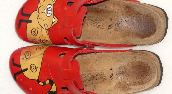 Pantofole Birkenstock-Foto da pixabay.com