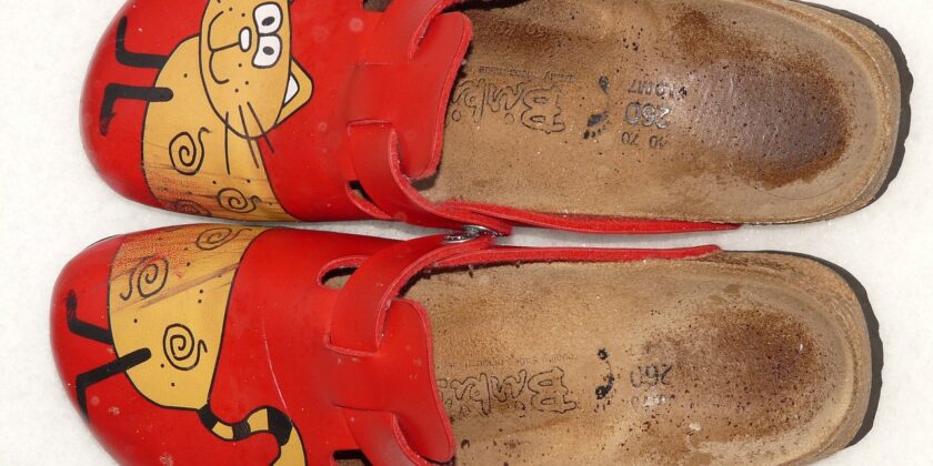 Pantofole Birkenstock-Foto da pixabay.com