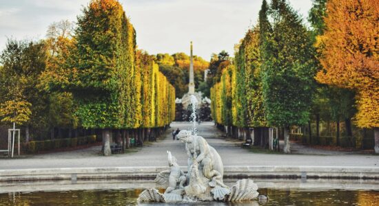 Parco a Vienna-Foto da pixabay.com