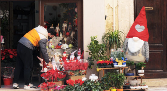 Piante da regalare-Foto da imagoeconomica