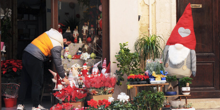 Piante da regalare-Foto da imagoeconomica