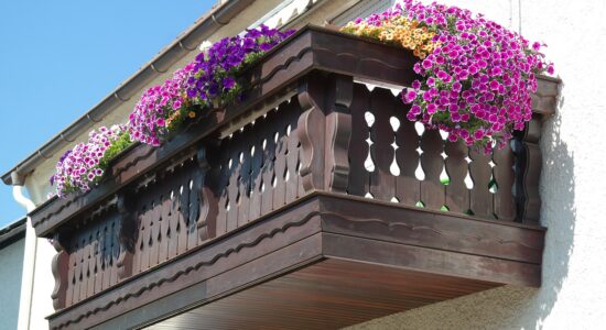 Quali piante avere sul balcone nella stagione fredda-Foto da pixabay.com