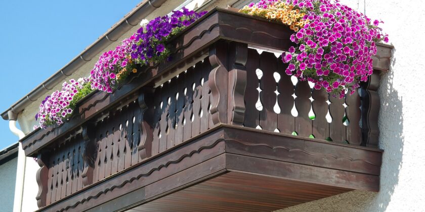 Quali piante avere sul balcone nella stagione fredda-Foto da pixabay.com