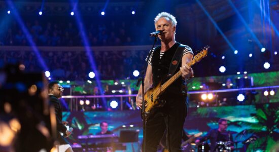 Sting-Fonte Flickr-Autore Raph_PH-Foto da wikipedia