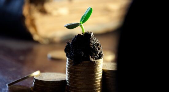 Strategia di investimento che può fare guadagnare molti soldi in breve tempo-Foto da pixabay.com