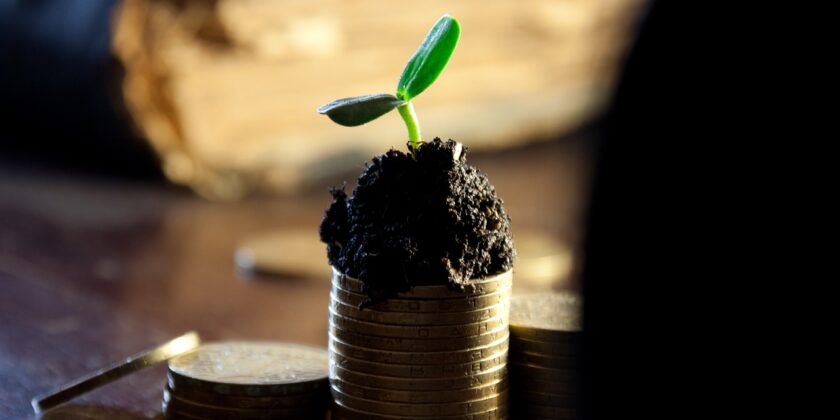 Strategia di investimento che può fare guadagnare molti soldi in breve tempo-Foto da pixabay.com