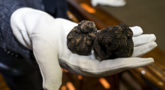 Tartufo-Foto da imagoeconomica