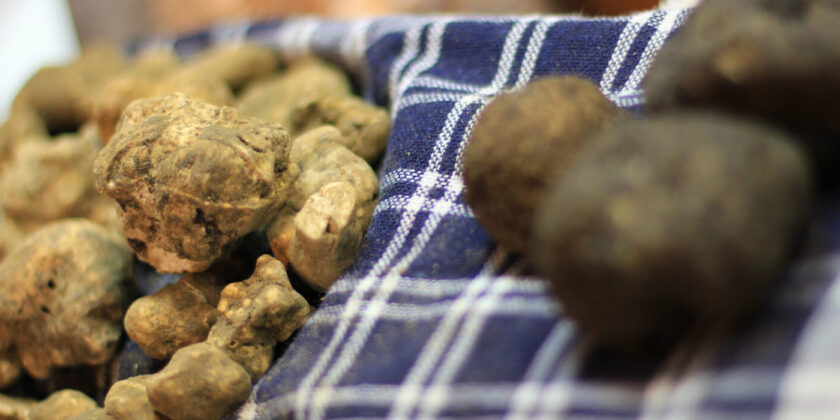 Tartufo bianco e nero-Foto da imagoeconomica