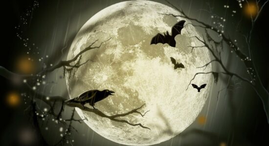 Un vero affare questi 3 costumi di Halloween-Foto da pixabay.com