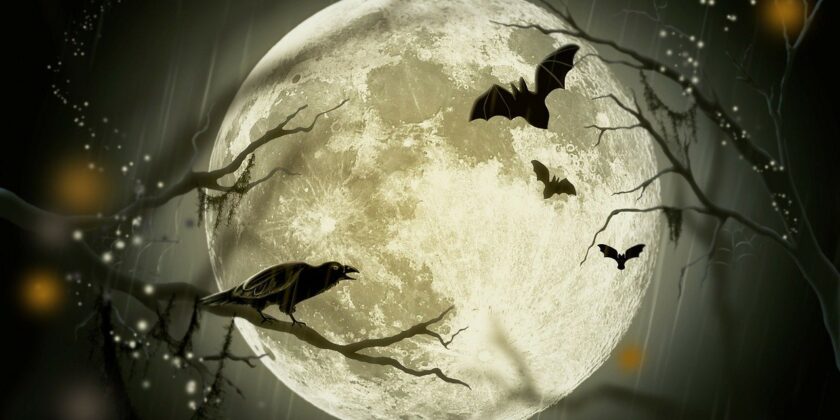 Un vero affare questi 3 costumi di Halloween-Foto da pixabay.com