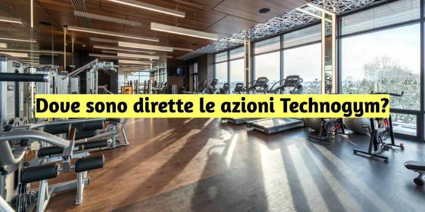 Quale futuro per le azioni Technogym?