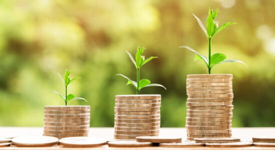 Arrivano gli ultimi titoli di Stato di novembre per chi ha nuovi soldi liquidi da investire sul reddito fisso-Foto da pixabay.com