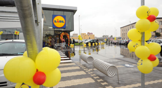 Costano meno di 8 euro le piante in offerta da Lidl-Foto da imagoeconomica