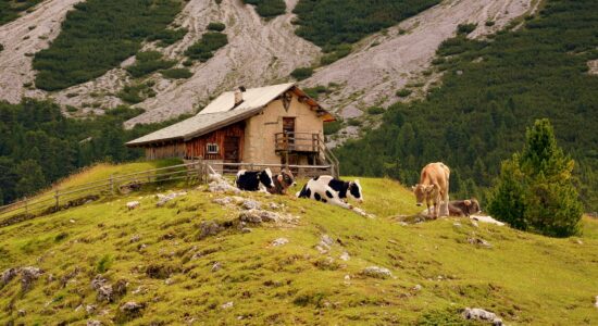 Fine settimana in baita-Foto da pixabay.com