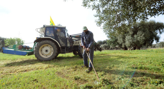 Lavori da fare in giardino e nell’orto in inverno-Foto da imagoeconomica